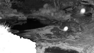 Still 1 from this detection