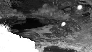 Still 2 from this detection
