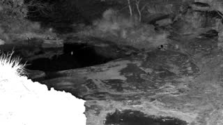 Still 3 from this detection