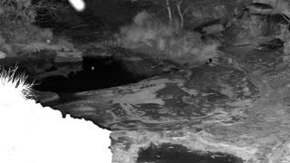 Still 2 from this detection