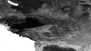 Still 2 from this detection