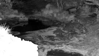 Still 1 from this detection