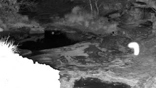 Still 1 from this detection