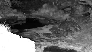 Still 2 from this detection
