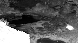 Still 1 from this detection