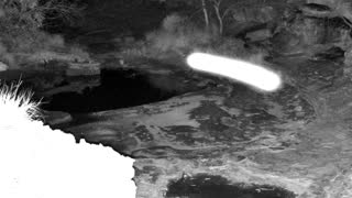 Still 1 from this detection