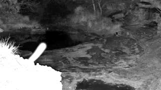 Still 2 from this detection