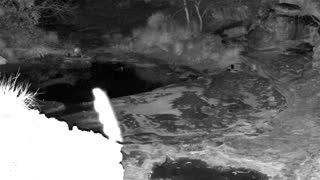 Still 1 from this detection