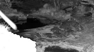 Still 1 from this detection