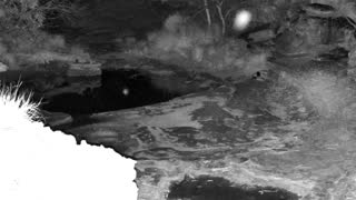 Still 1 from this detection