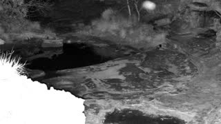 Still 3 from this detection