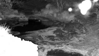 Still 1 from this detection