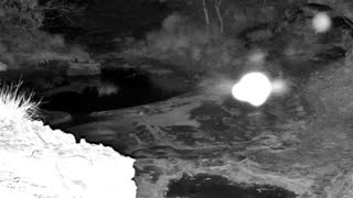 Still 2 from this detection