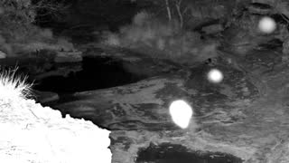 Still 3 from this detection