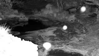 Still 1 from this detection