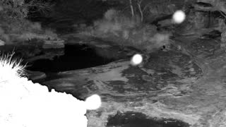 Still 2 from this detection