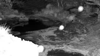 Still 3 from this detection