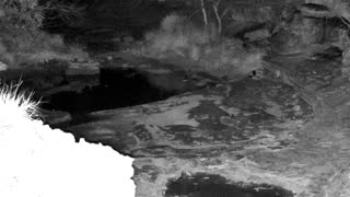 Still 1 from this detection