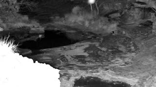 Still 1 from this detection