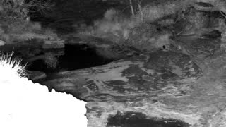 Still 1 from this detection