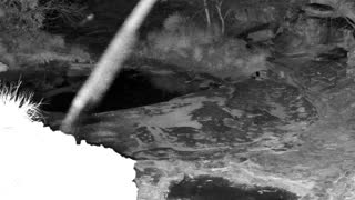 Still 1 from this detection