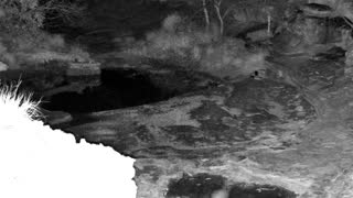 Still 1 from this detection