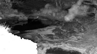 Still 1 from this detection