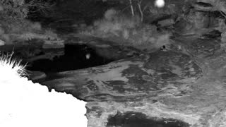 Still 3 from this detection