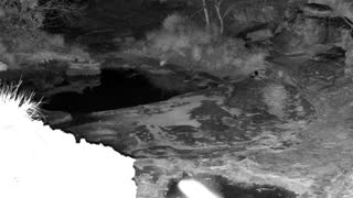 Still 1 from this detection