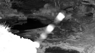 Still 2 from this detection