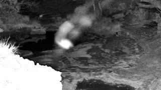 Still 3 from this detection