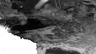Still 1 from this detection