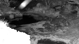 Still 2 from this detection