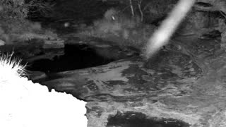 Still 1 from this detection