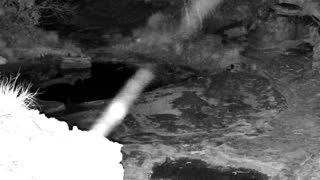 Still 2 from this detection