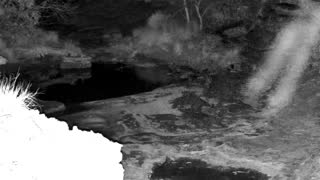 Still 3 from this detection