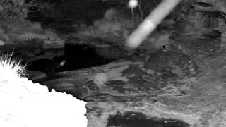 Still 1 from this detection