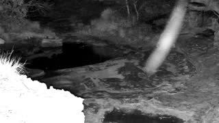Still 2 from this detection