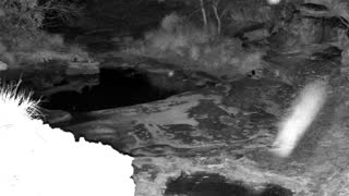 Still 3 from this detection