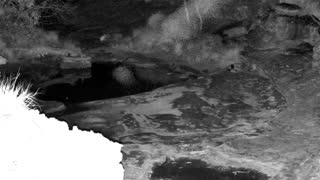 Still 1 from this detection
