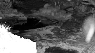 Still 2 from this detection