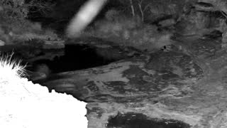 Still 3 from this detection