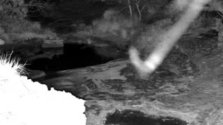Still 2 from this detection