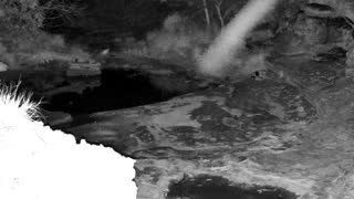Still 1 from this detection