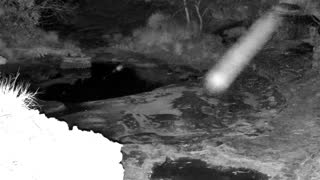 Still 2 from this detection