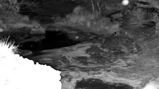 Still 3 from this detection