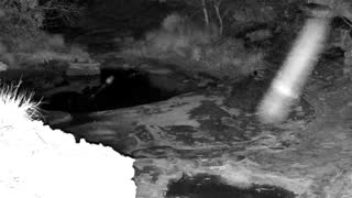 Still 1 from this detection