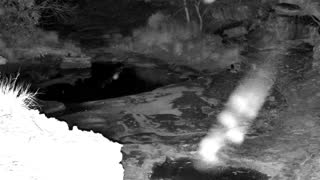 Still 2 from this detection