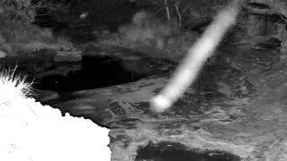 Still 3 from this detection