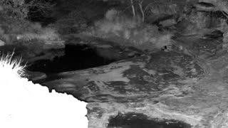 Still 1 from this detection